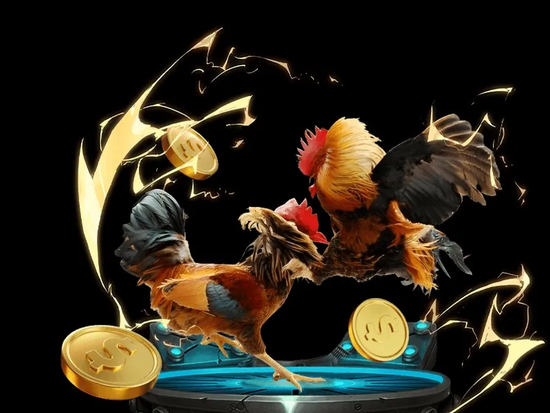 Trò chơi Phỏm tại ku casino